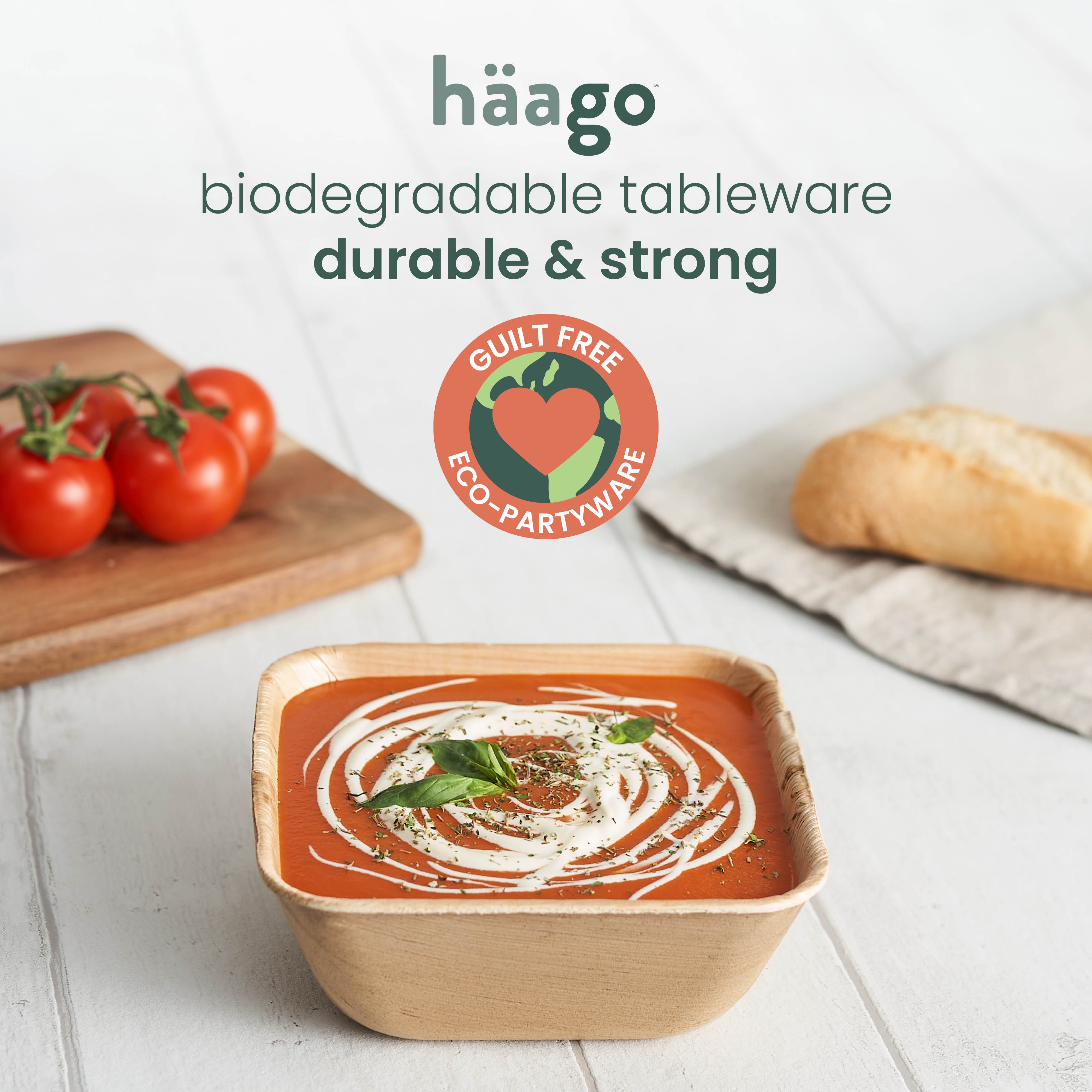 haago Palm Leaf Bowls ciotole quadrate 450ml 25 pezzi resistenti