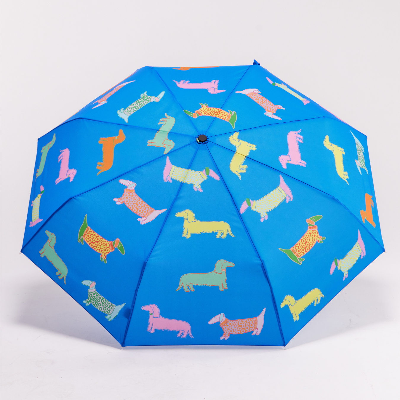 Original Duckhead Dogs in Blue ombrello compatto bassotti