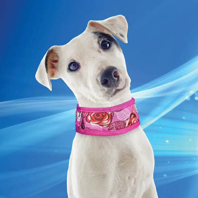 Aqua Coolkeeper Collare rinfrescante cane attivazione ad acqua