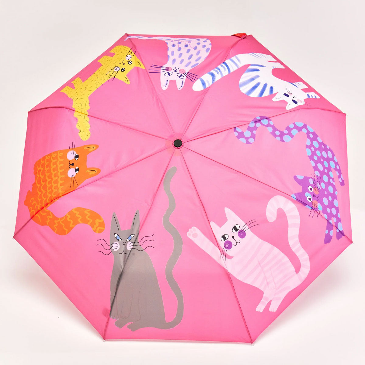 Original Duckhead Arty Cats ombrello fucsia