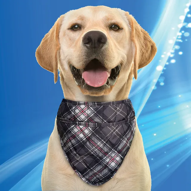 Aqua Coolkeeper Cooling Pet Bandana bandana rinfrescante cane
