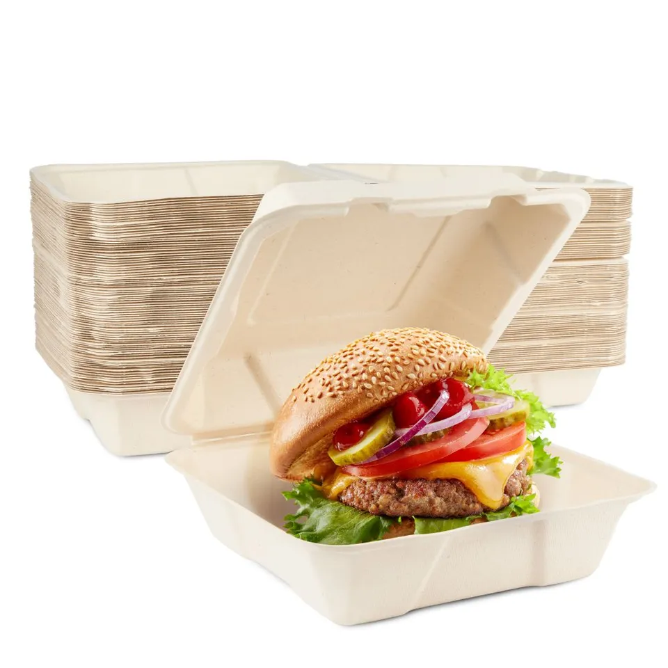 haago Sugarcane Trays & Boxes box burger 21cm 90 pezzi compostabili