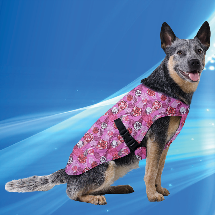 Aqua Coolkeeper Cooling Pet Jacket giubbino rinfrescante cane