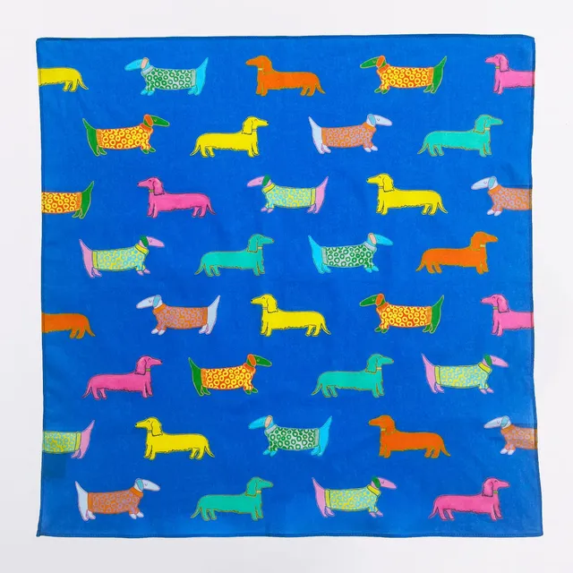 Original Duckhead Dogs in Blue Bandana bandana cane cotone blu