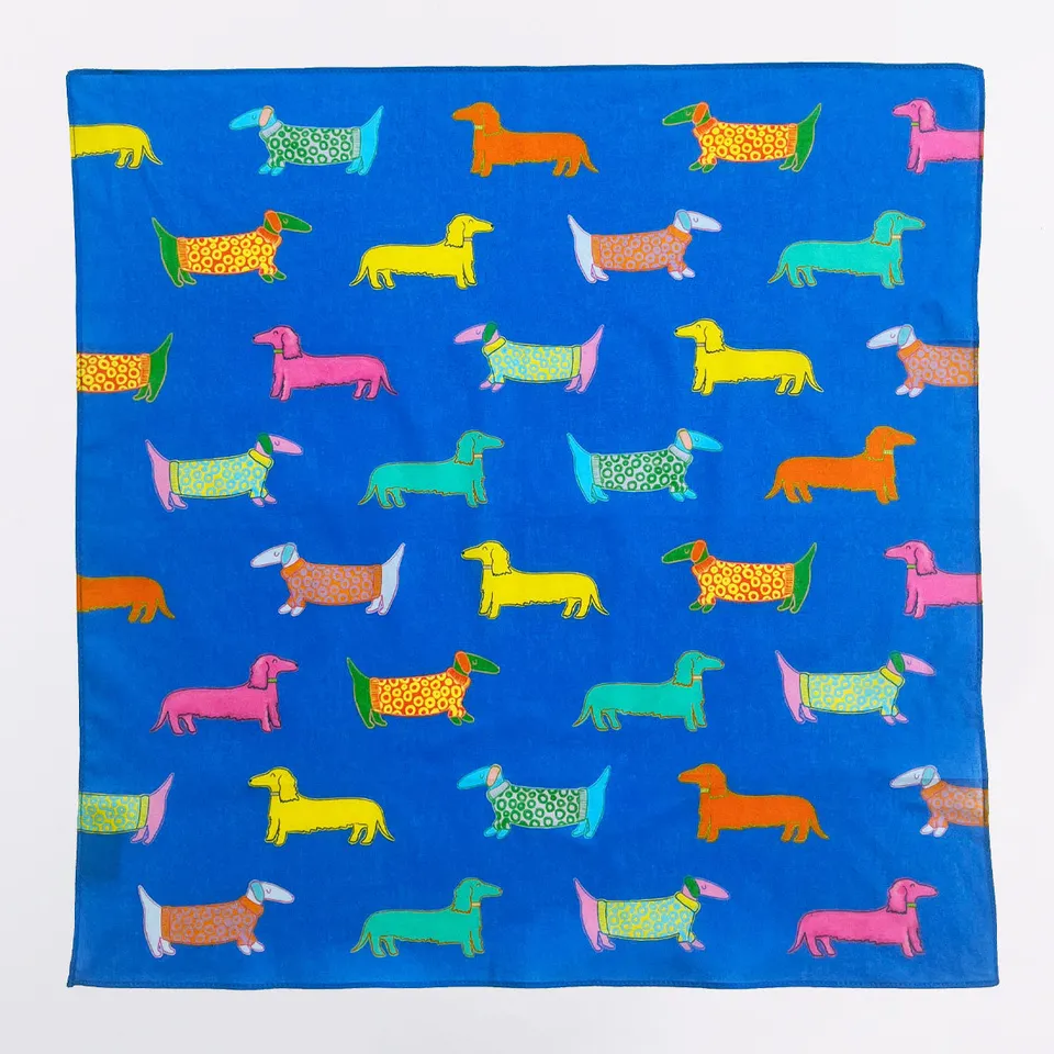 Original Duckhead Dogs in Blue Bandana bandana cane cotone blu