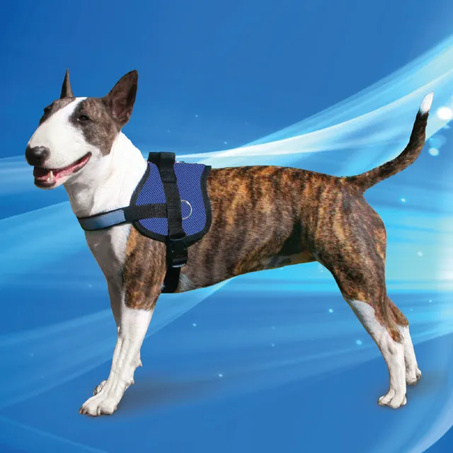 Aqua Coolkeeper Cooling Survival pettorina rinfrescante cane ad acqua