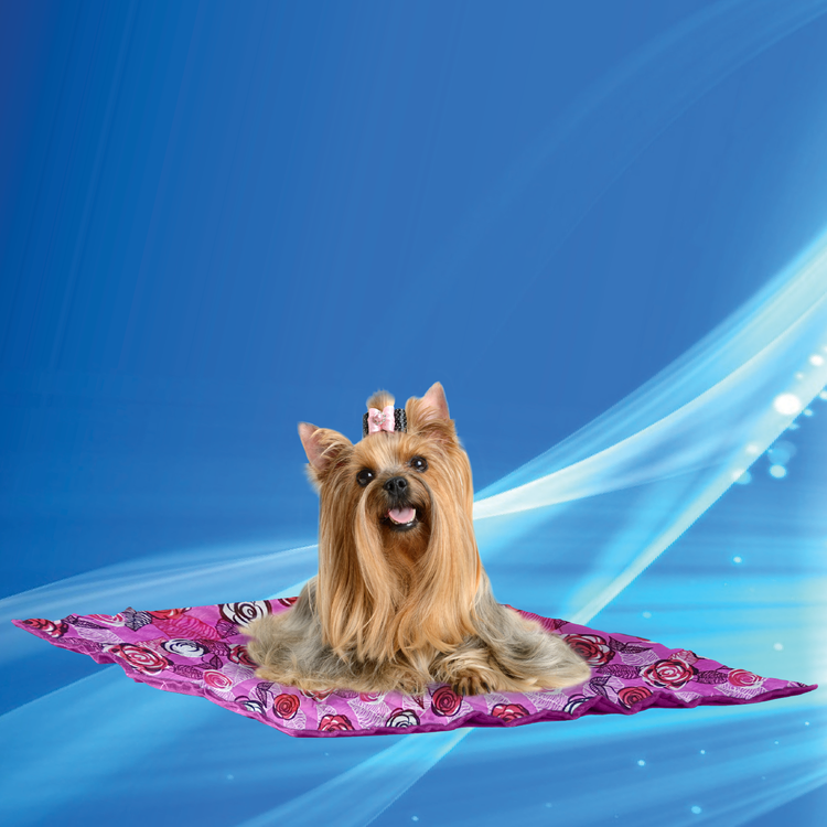 Aqua Coolkeeper tappetino rinfrescante per cani e gatti ad acqua
