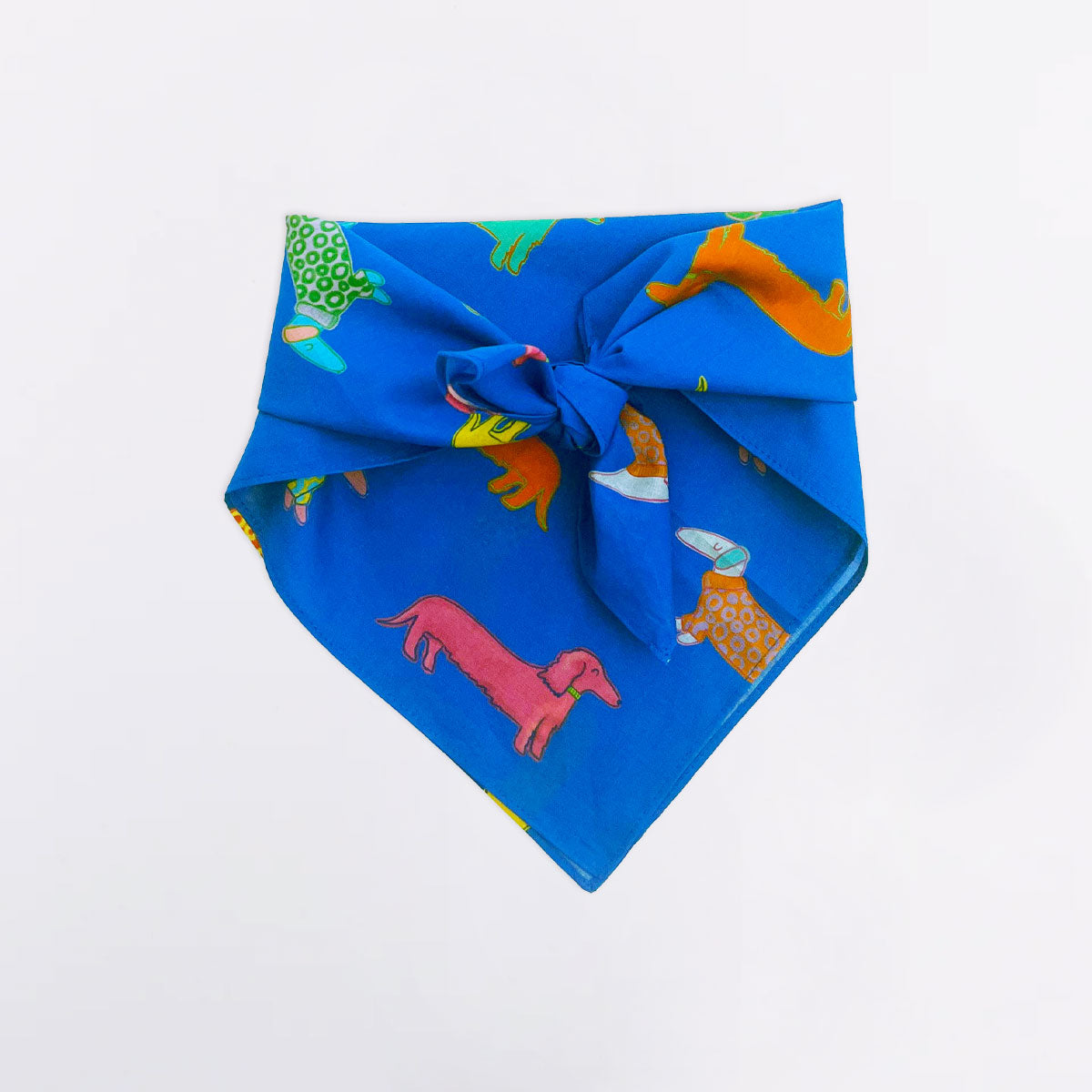 Original Duckhead Dogs in Blue Bandana bandana cane cotone blu