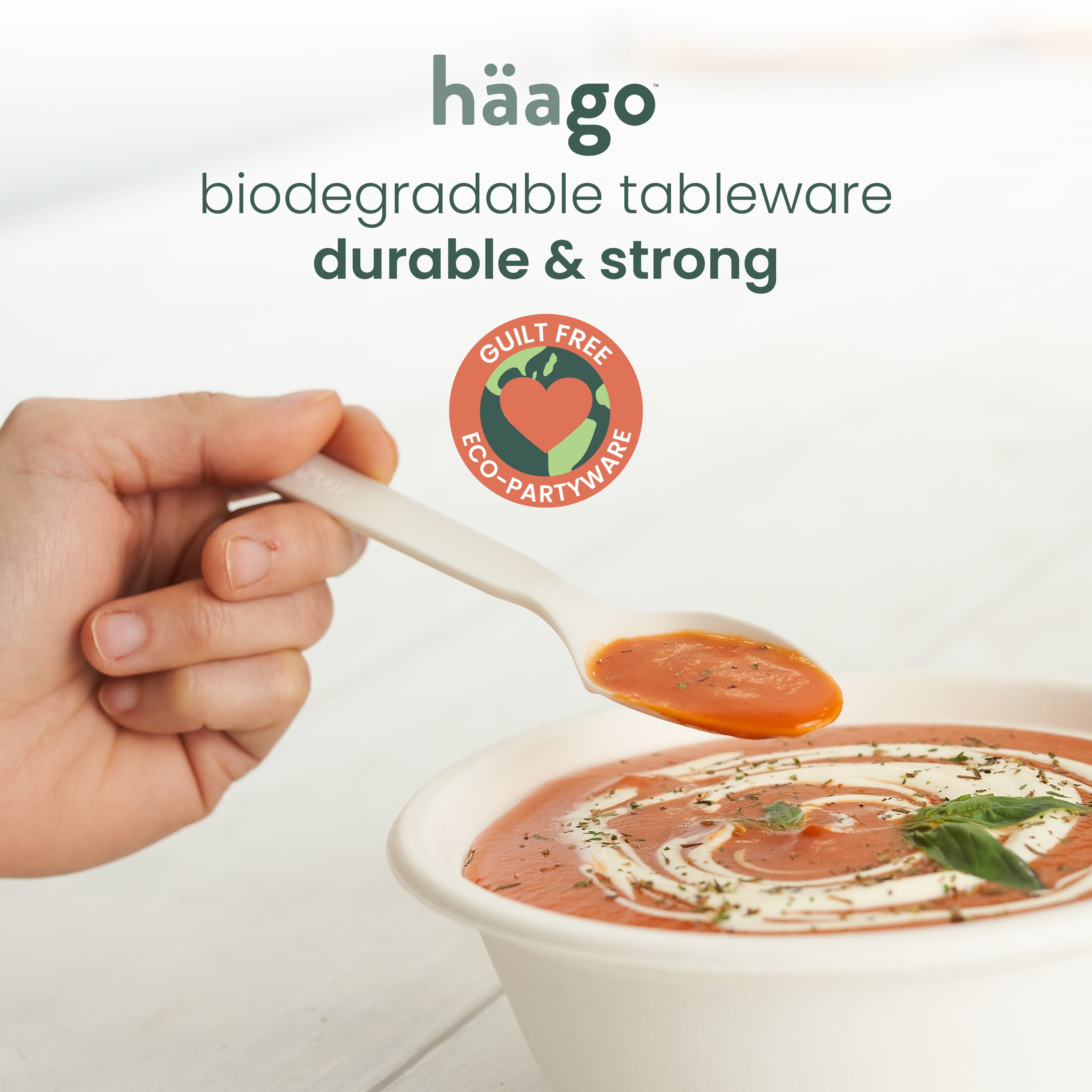 haago PLA Cutlery Cucchiai monouso 100 pezzi compostabili