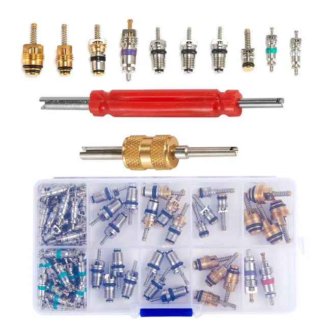 ThreeH 103 Pezzi Kit Nuclei Valvola R134A Auto con Estrattori