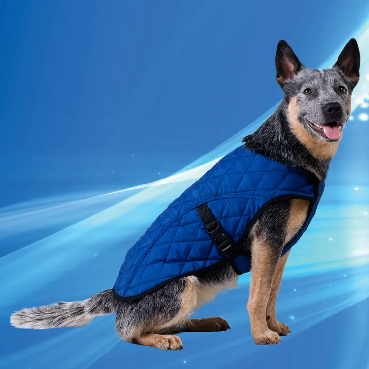 Aqua Coolkeeper Cooling Pet Jacket giubbino rinfrescante cane