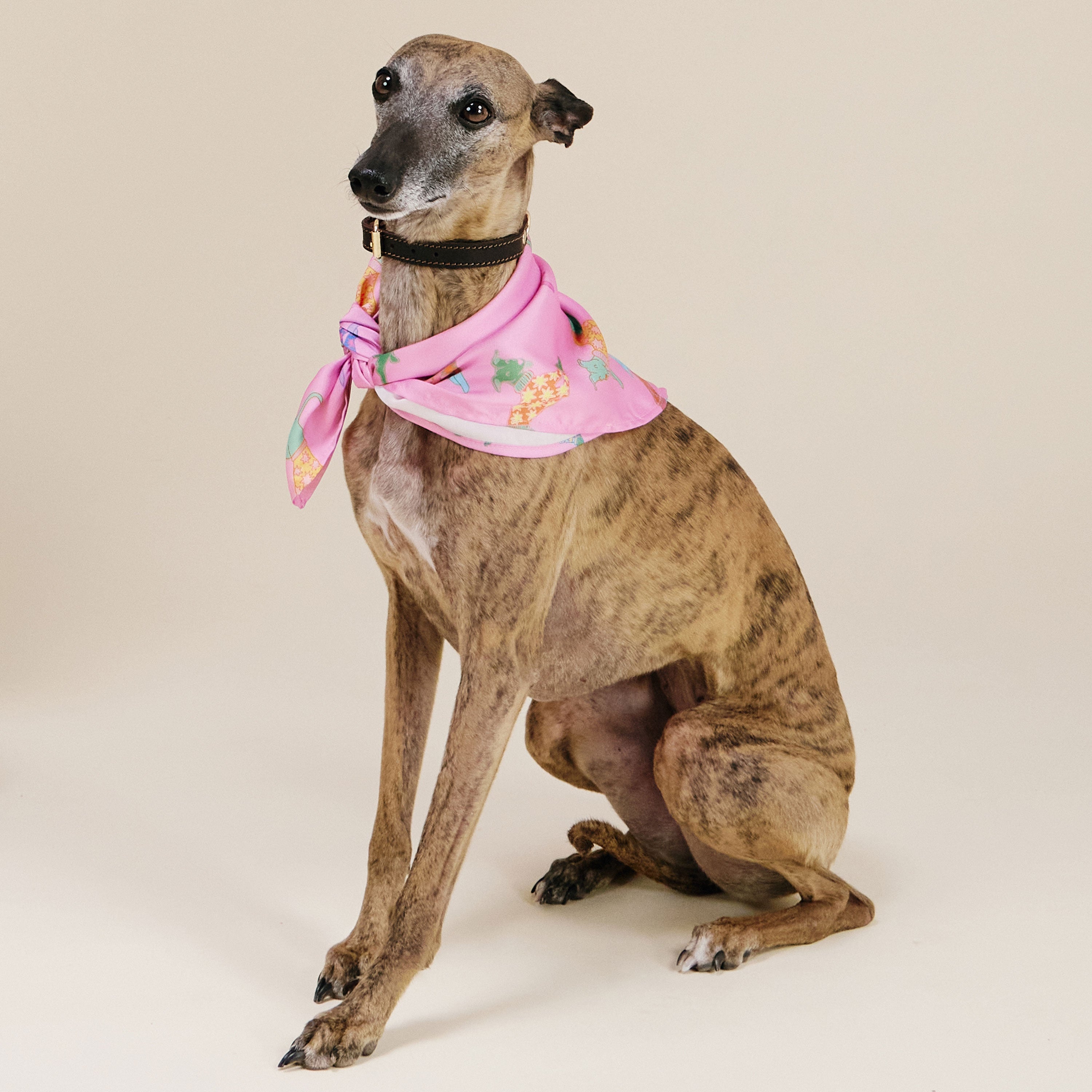 Original Duckhead Bandanas Dogs in Pink Bandana Cane Rosa Cotone