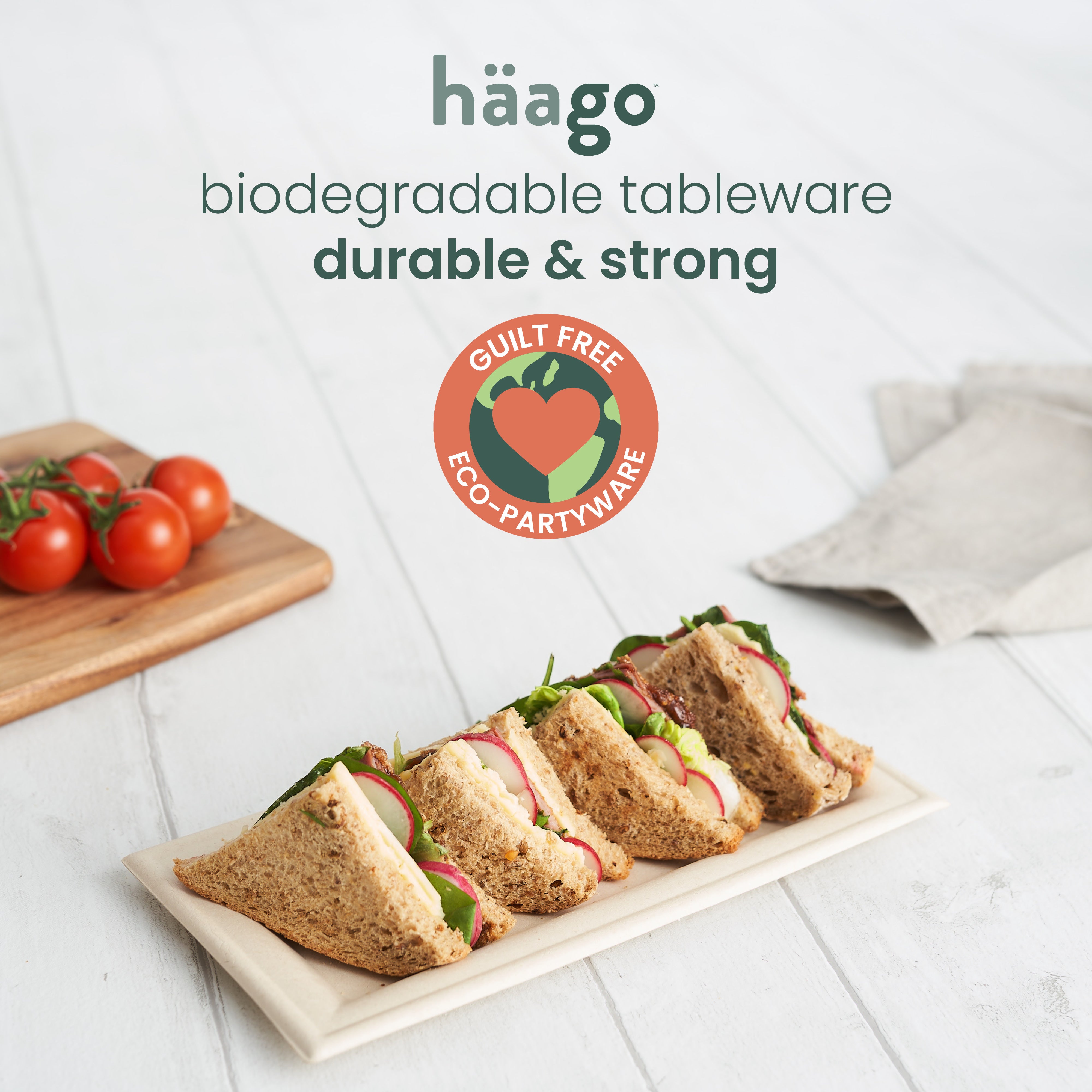 haago Sugarcane Trays & Boxes Vassoi 26cm 100 pezzi monouso