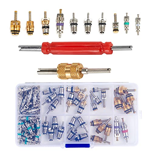ThreeH 103 Pezzi Kit Nuclei Valvola R134A Auto con Estrattori