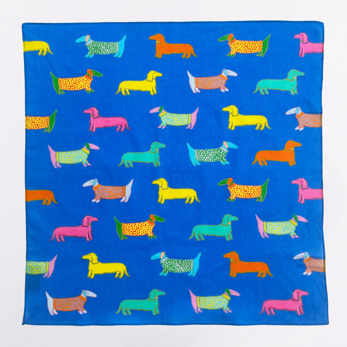 Original Duckhead Dogs in Blue Bandana bandana cane cotone blu