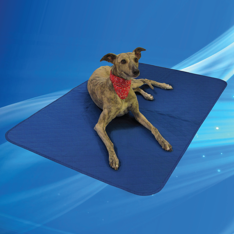 Aqua Coolkeeper Cooling Blanket coperta rinfrescante cane ad acqua