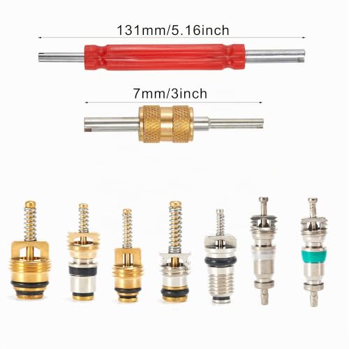 ThreeH 103 Pezzi Kit Nuclei Valvola R134A Auto con Estrattori