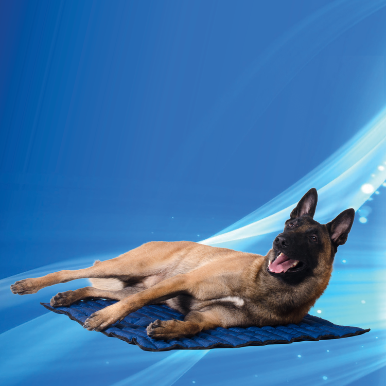 Aqua Coolkeeper tappetino rinfrescante per cani e gatti ad acqua