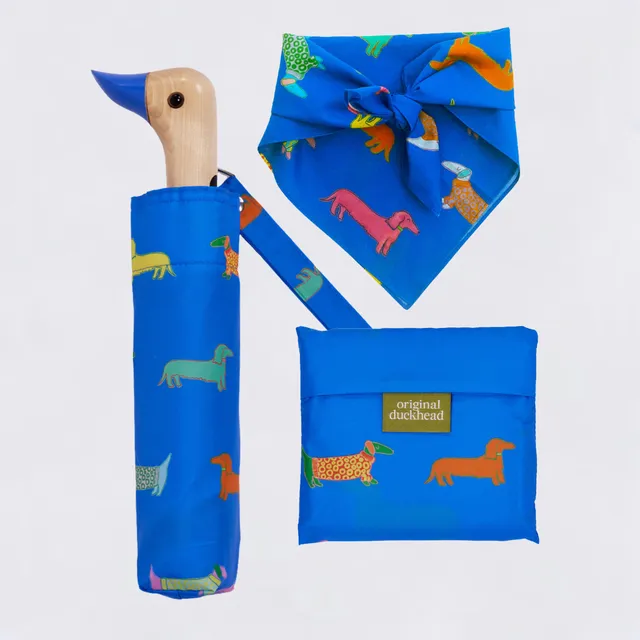 Original Duckhead Collector's Bundles Dogs in Blue Bundle Bassotto